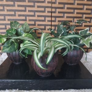Better Homes & Gardens Faux Potted Plants Set Of 3